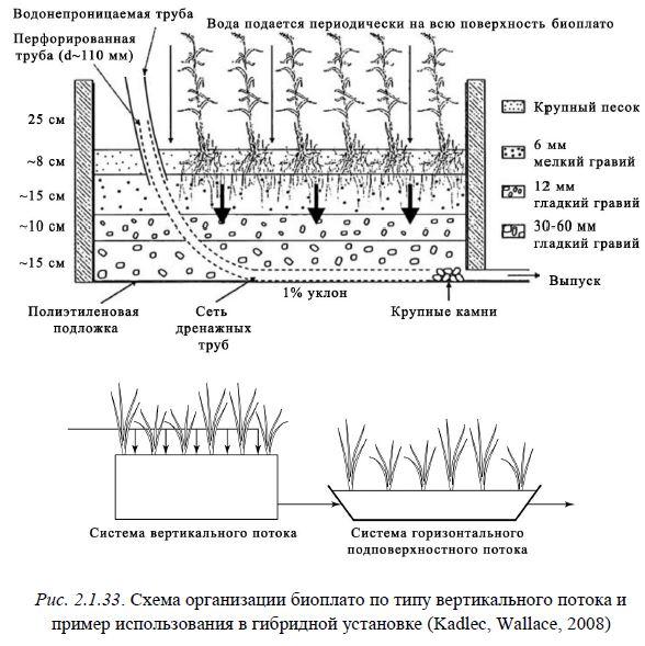 Проект очистки водоема